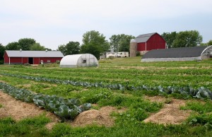 Grey Bruce Family Farm Business